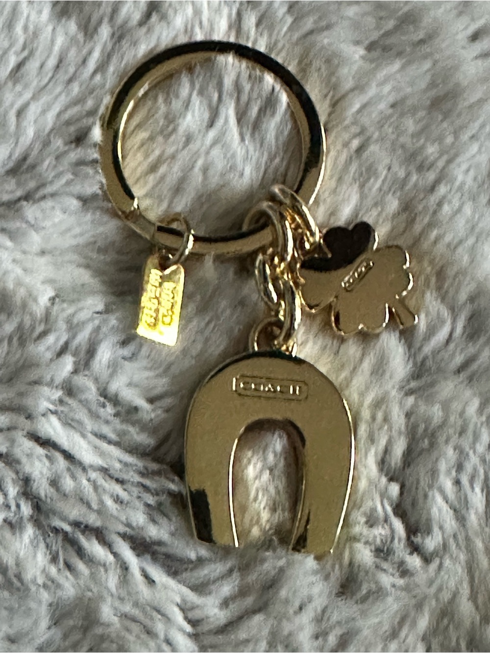 Coach Lucky Keychain - Picture 6 of 9